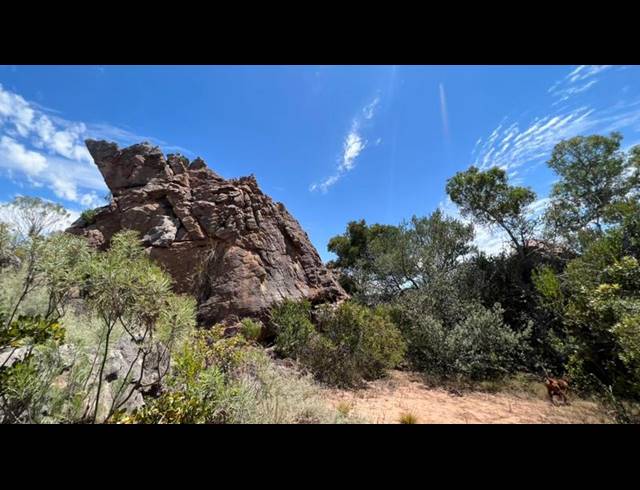 LAND FOR SALE IN PIKETBERG RURAL